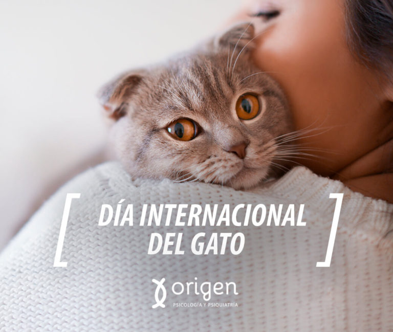 mujer feliz abrazando un gato gris. Día internacional del gato